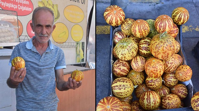 'Kokulu kavun' tezgaha çıktı