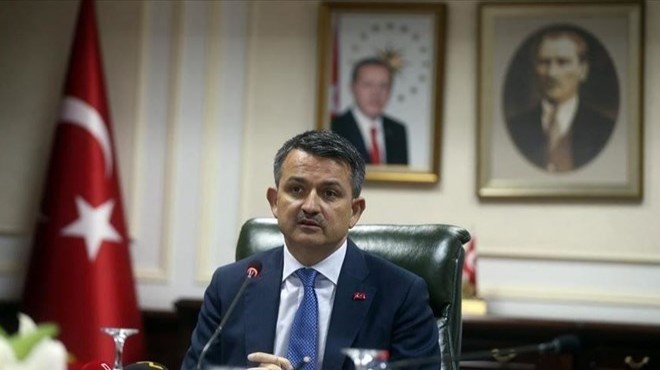 'Destek ödemelerine bugün başlıyoruz'