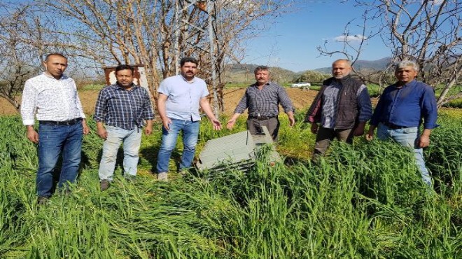 1 yılda 300 trafo çalındı... Çiftçilerin başı hırsızlarla dertte!