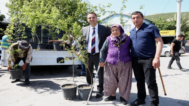 10 bin fidan dağıtılacak... Bornova'dan kırsal kalkınma hamlesi!