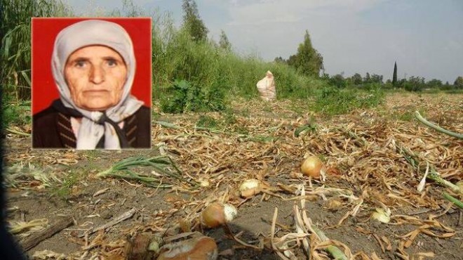 72 yaşındaki kadın sahipsiz köpek kurbanı!