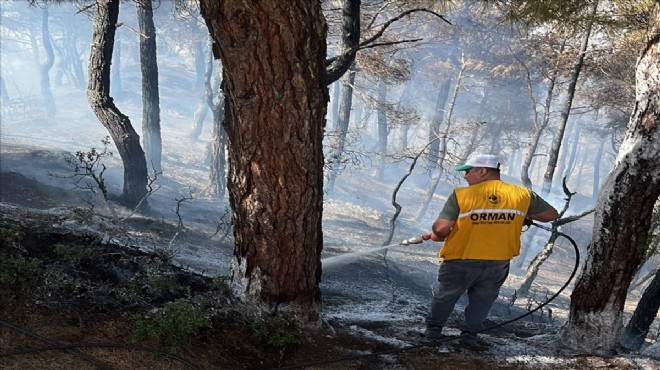 Afyonkarahisar'daki orman yangını söndürüldü