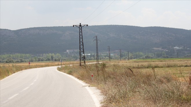 Akıma kapılan leylekler telef oldu!