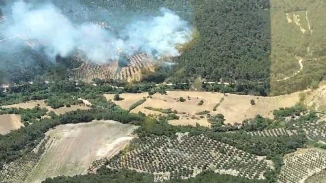 Alevler kontrol altında... Bergama'da 20 saatlik mücadele!