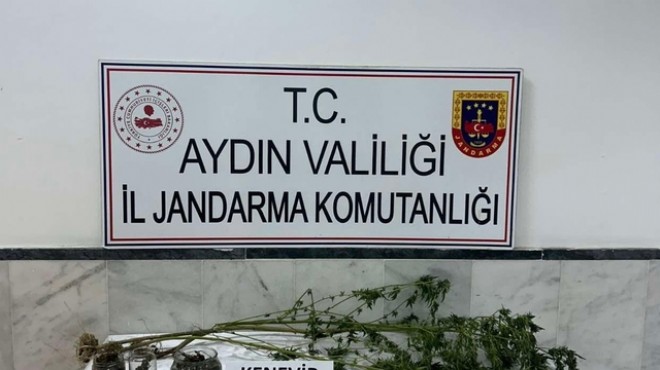 Aydın'da uyuşturucu operasyonu: 2 kişi gözaltında!