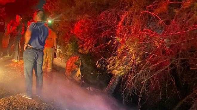 Aydın'daki Milli Park’ta çıkan yangın söndürüldü