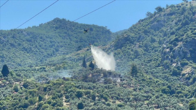 Aydın’daki yangın kontrol altında!