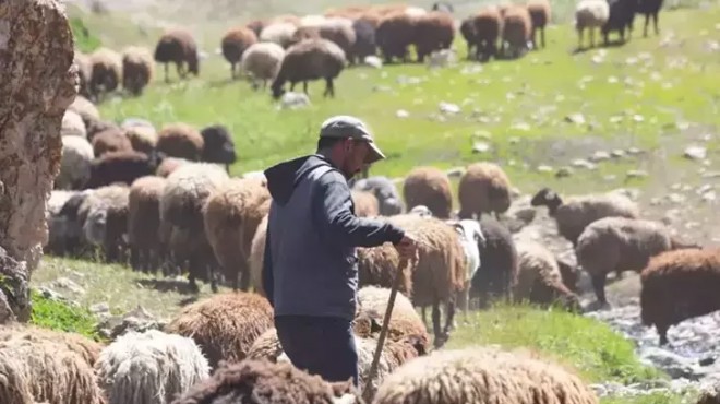 Bakanlıktan hayvancılık için üç yeni yönetmelik