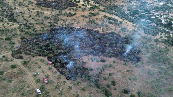 Bayındır'da zeytinlik alanda çıkan yangın söndürüldü