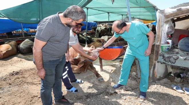 Bayraklı Belediyesi, Kurban Bayramı’na hazır