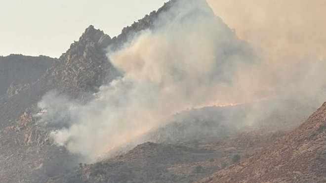 Bodrum'da korkutan makilik yangını