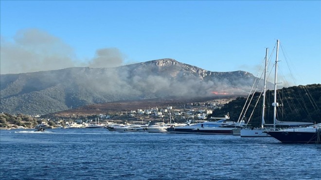 Bodrum'daki makilik yangını kontrol altın