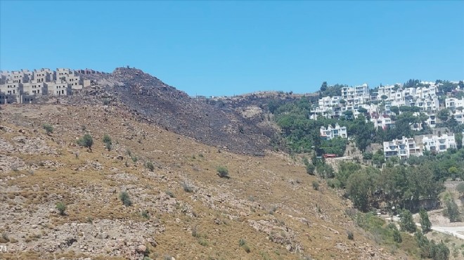 Bodrum'da otluk alanda çıkan yangın söndürüldü