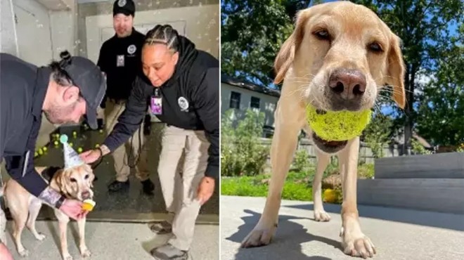 Bomba tespit köpeğine gülümseten veda