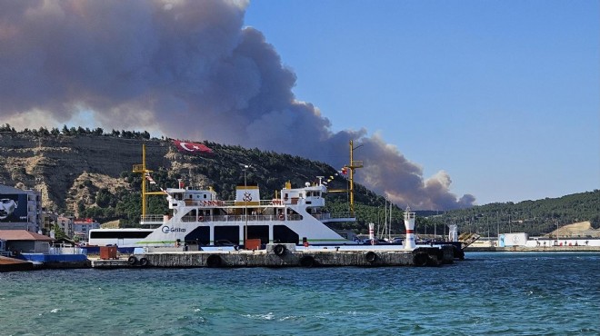 Çanakkale'de orman yangını: Gemi trafiği açıldı!