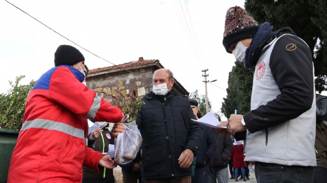 Çeşme'de üreticilere kuraklığa dayanıklı keçiboynuzu fidanı dağıtıldı