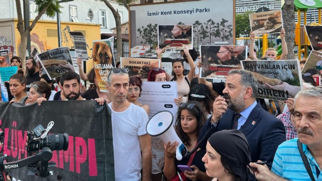 CHP İzmir’den hayvan hakları eylemlerine destek