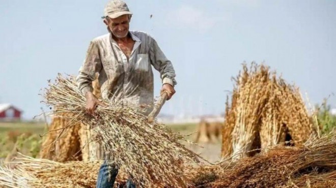 Çiftçileri ilgilendiriyor... Son başvuru tarihi açıklandı!