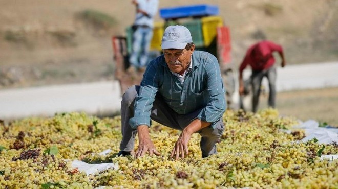 Çiftçinin borcu 187 milyar TL’ye çıktı