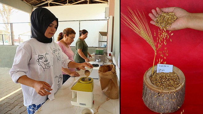 Çiftçinin geliri 'Egebeyi' ile artacak