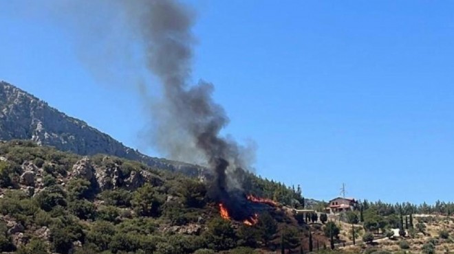 Datça'da ormanlık alanda yangın çıktı