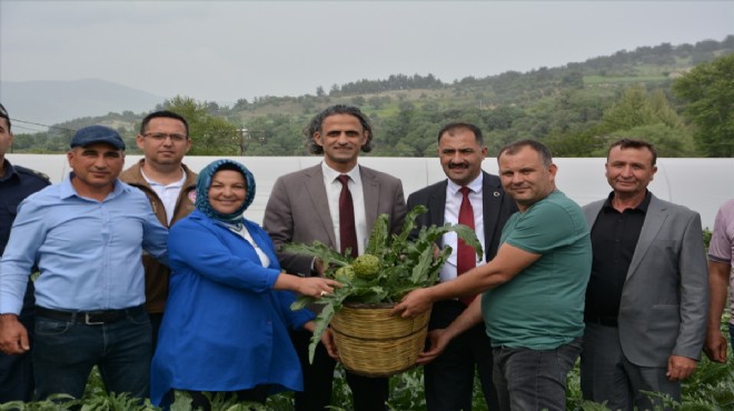 Demirci'de enginar hasadı başladı