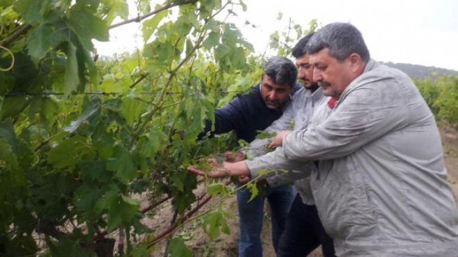 Dolu ve yağış üreticiyi olumsuz etkiledi