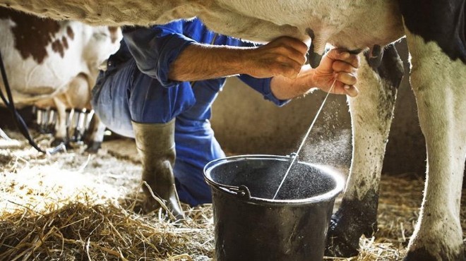 Eskiyörük’ten Bakan’a süt teşekkürü! Üretici desteği katlandı!