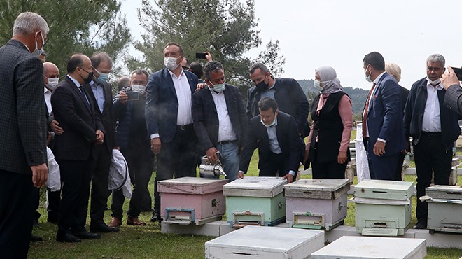 İzmir'de 100 Roman kadına, 1000 arı kovanı