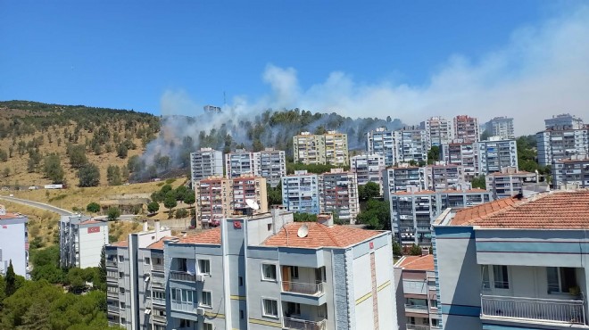 İzmir'in 4 ilçesindeki yangın kontrol altında