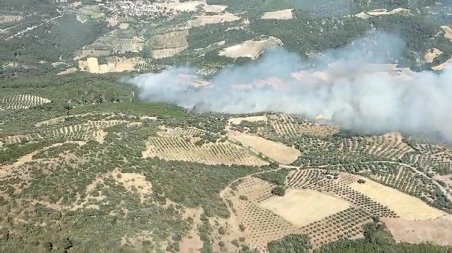 İzmir'deki orman yangınının ilerlemesi durdu