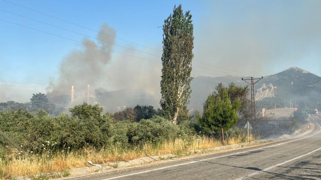 İzmir'de zirai alanda çıkan yangın kontrol altına alındı