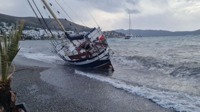 Kaçak göçmenler terk etmişti... Yelkenli tekne karaya vurdu