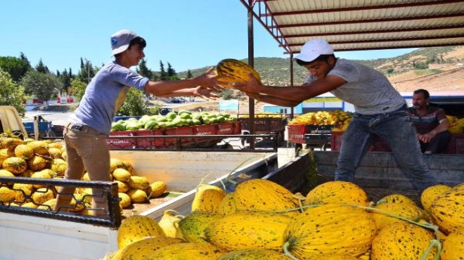 Kavun-karpuz üreticisini hem sıcak hem fiyatlar yaktı