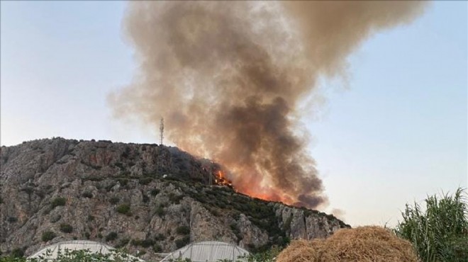 Muğla'da makilikte başlayan yangın ormana sıçradı