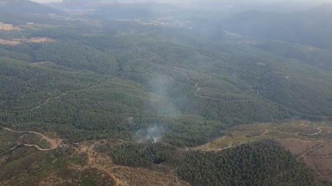 Manisa'daki orman yangını kontrol altına alındı