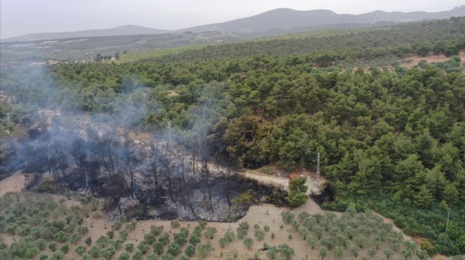 Manisa'da korkutan orman yangını!