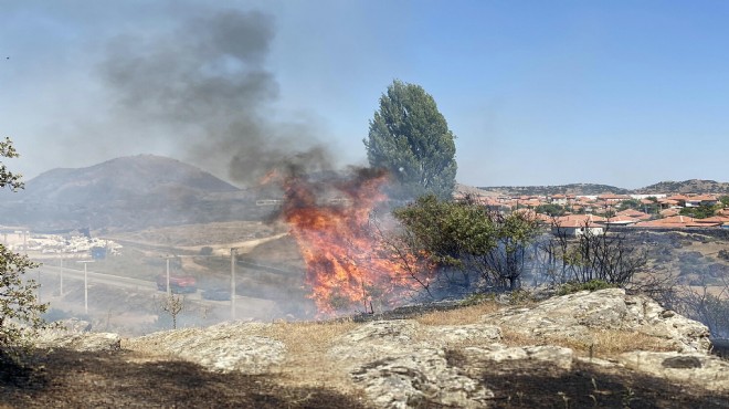 Manisa'da otluk yangını