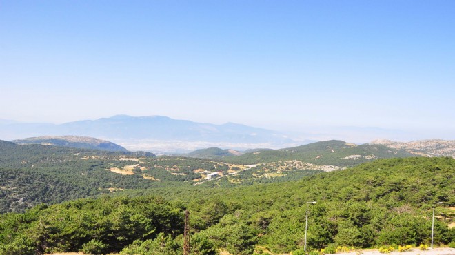 Manisa'nın ormanlarında 'El Nino' teyakkuzu!