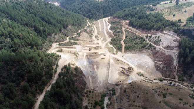 Manisalı üreticinin yüzü gülecek