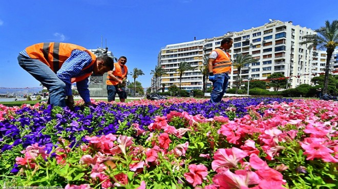 Mis kokulu yollar... İzmir çiçeklerle donatıldı