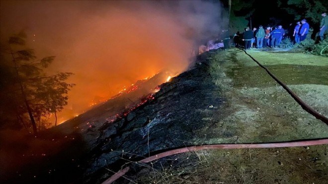 Muğla'da korkutan orman yangını