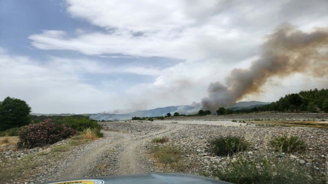 Muğla'nın 2 ilçesinde orman yangını