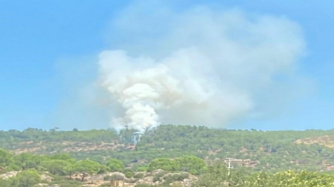 Muğla'da orman yangını: 1 hektar kül oldu