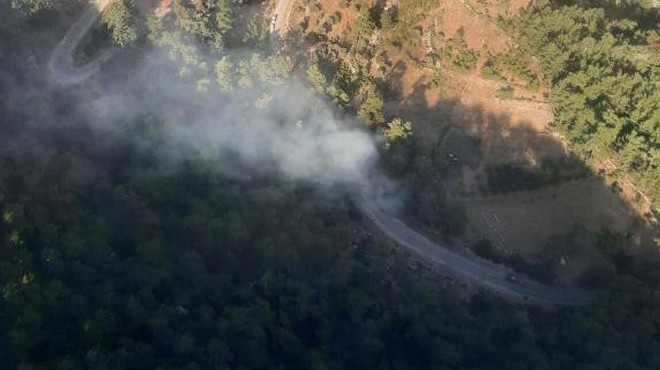 Muğla'da orman yangını: 1 hektar kül oldu