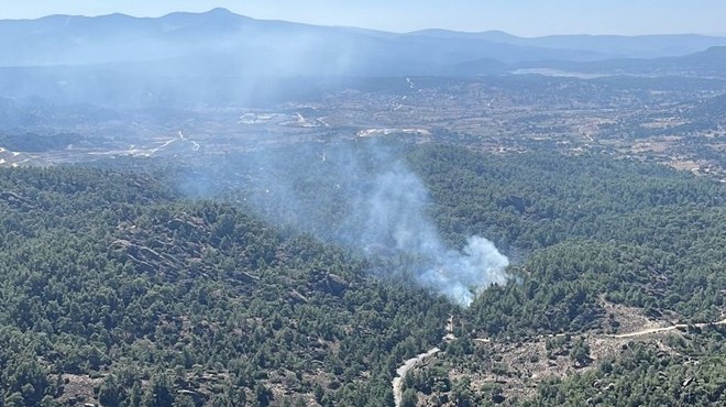 Muğla'da orman yangını: 2 dönüm kül oldu