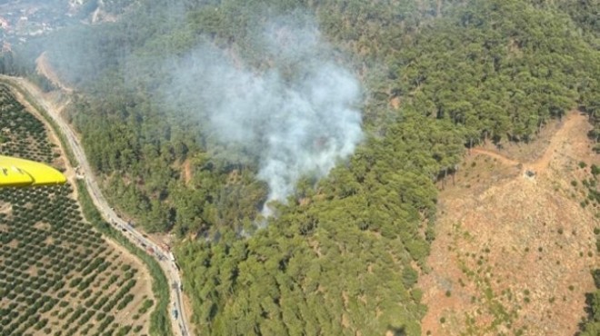 Muğla'da orman yangını söndürüldü