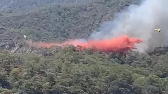 Muğla'da orman yangını söndürüldü