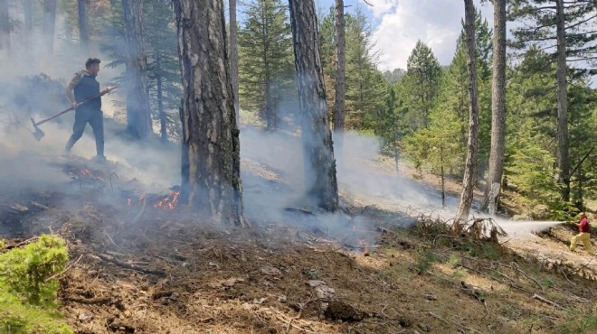 Muğla'da yıldırımlar yüzünden 28 orman yangını çıktı