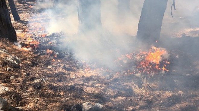 Muğla'daki orman yangını kontrol altında